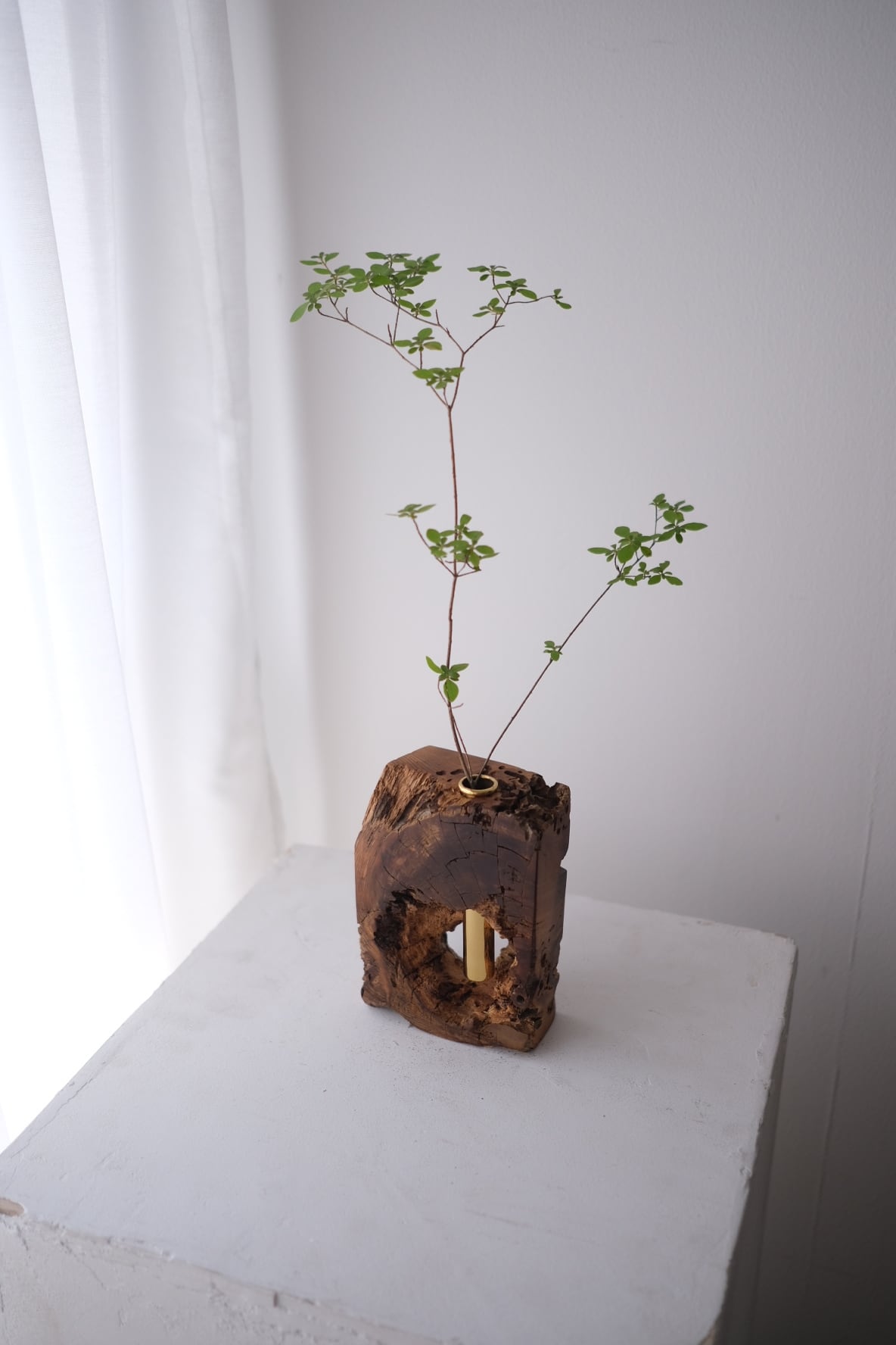 木塊 一輪挿し -天杉-