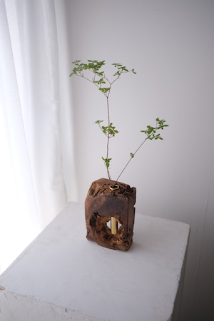 木塊 一輪挿し -天杉-