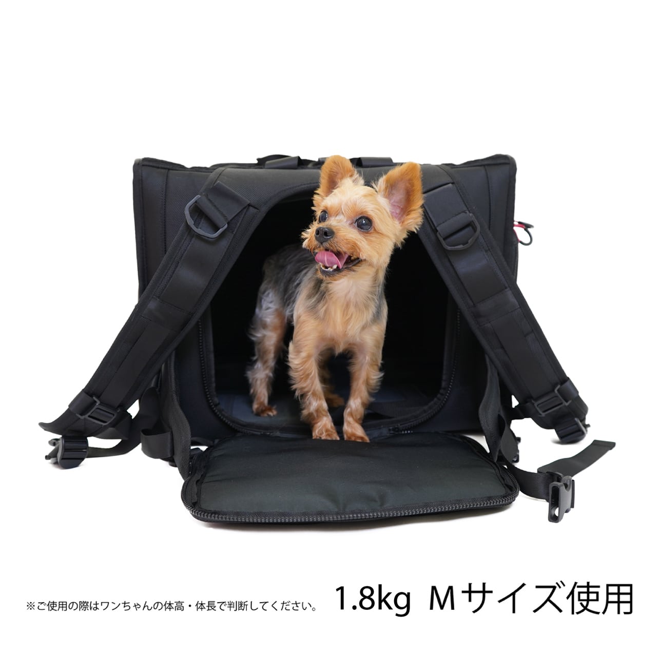BRIXTON CARRY BACKPACK −WIDE−（M）ブリクストンキャリーバック 
