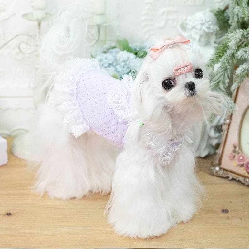 フローラルのフリルワンピース 犬服 00762