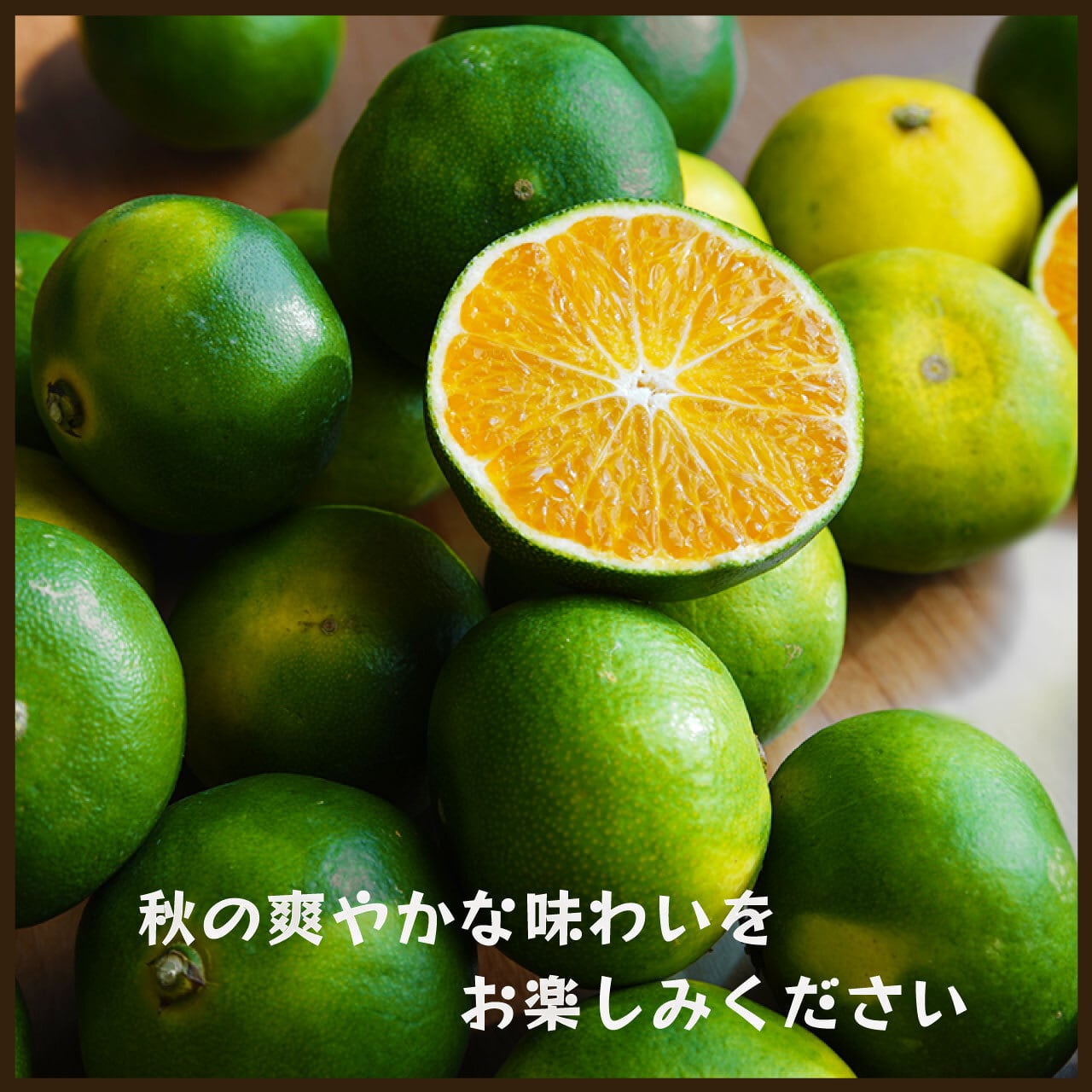 日焼け果訳あり品】YN26 5kg｜和歌山で生まれた極早生みかんの新品種