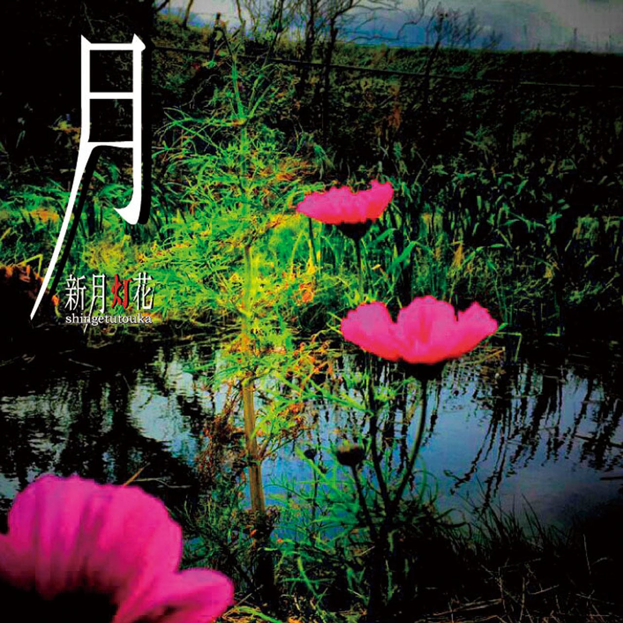 月が注ぐ花 505a10ca3e6ac1a0dbd92143ddb7b8