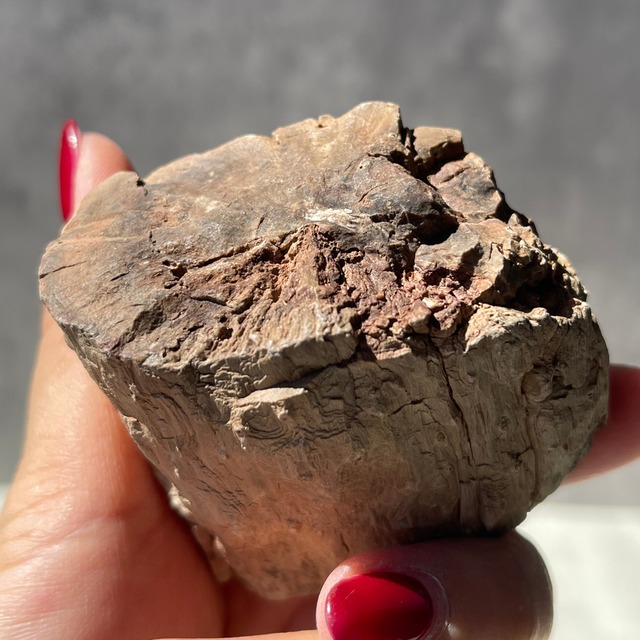 ジンバブエ・ゴクウェ産【ペトリファイドウッド（珪化木）】⑤（樹木の化石）鉱物 天然石 パワーストーン