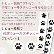 ニャコモ 穴あり 左扉 NCM-D45 ( AL ) NA