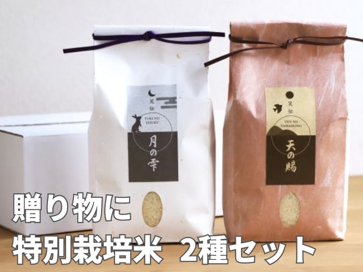ギフトセット　山形産　株式会社EDEN　特別栽培米　【2kg×2種】