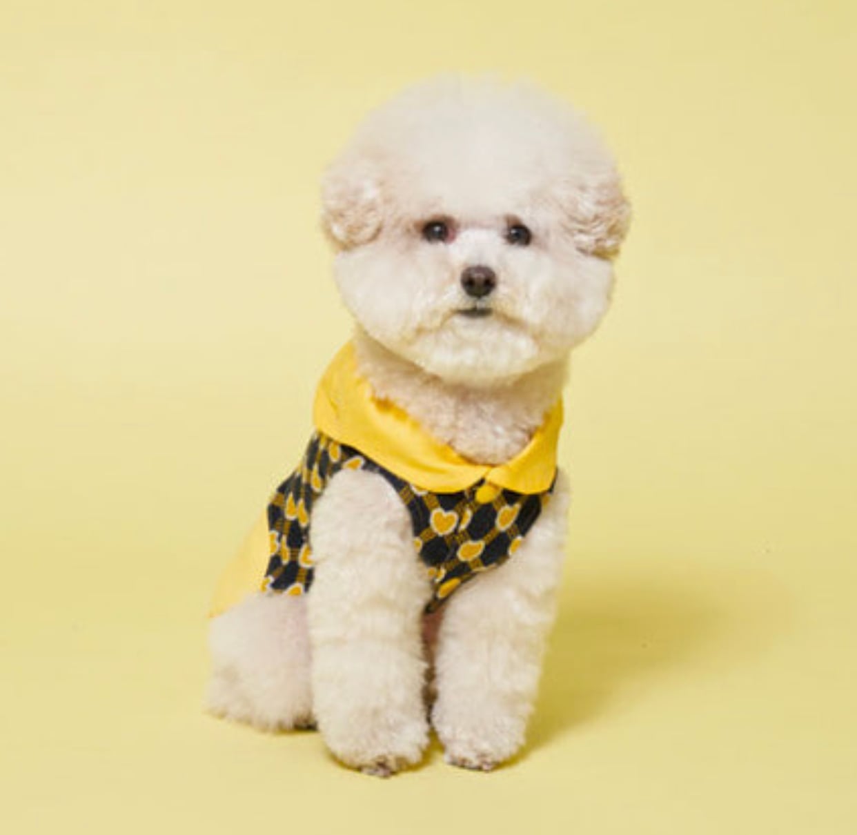 【SALE】 big ribbon knit vest S ~ 2XL 2color  /  犬服 春夏 新作 ドッグウェア ニット ベスト 可愛い 犬の服 袖なし お揃い b48