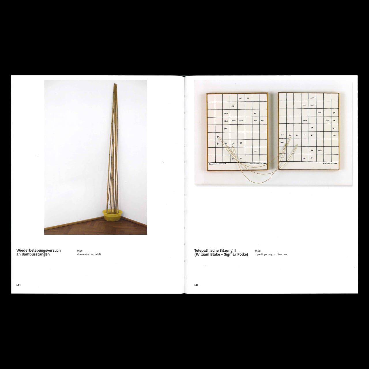 Sigmar Polke | ON SUNDAYS