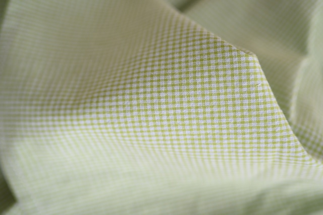 Carlota Suip /Von Trapp Dress