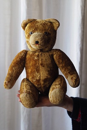 びっくりクマだ、ファニーにアピール-vintage teddy bear