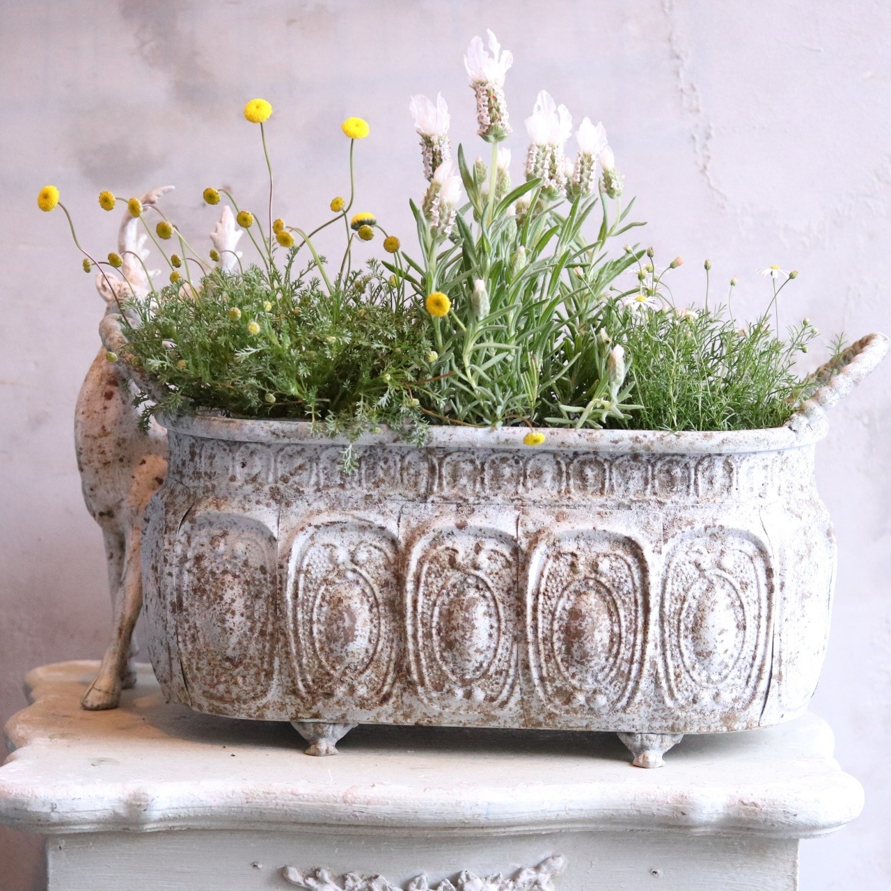 mondimanche 植木鉢　アンティークデコレワイドSW｜シャビーシック　寄せ植えして飾ると素敵なガーデンになる　UF685