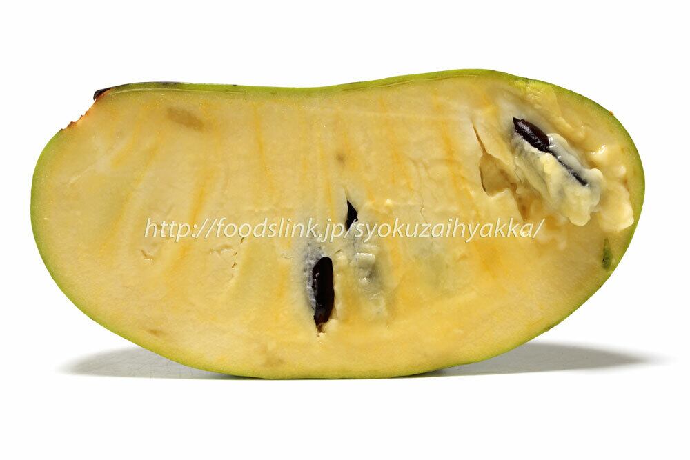 ポポー（ポーポー）Pawpaw24(5184-3456) | 旬の食材百科