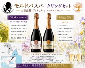 モルドバ土着品種スパークリング 飲み比べセット【ヴィオリカ＆フェテアスカ・アルバ】750ml×2本