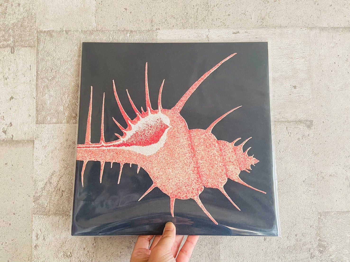 LP】【再発】MIZ / SUNDANCE RANCH | HOLIDAY! RECORDS DISTRO