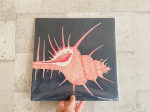 【LP】Veg  / Adrift in Time