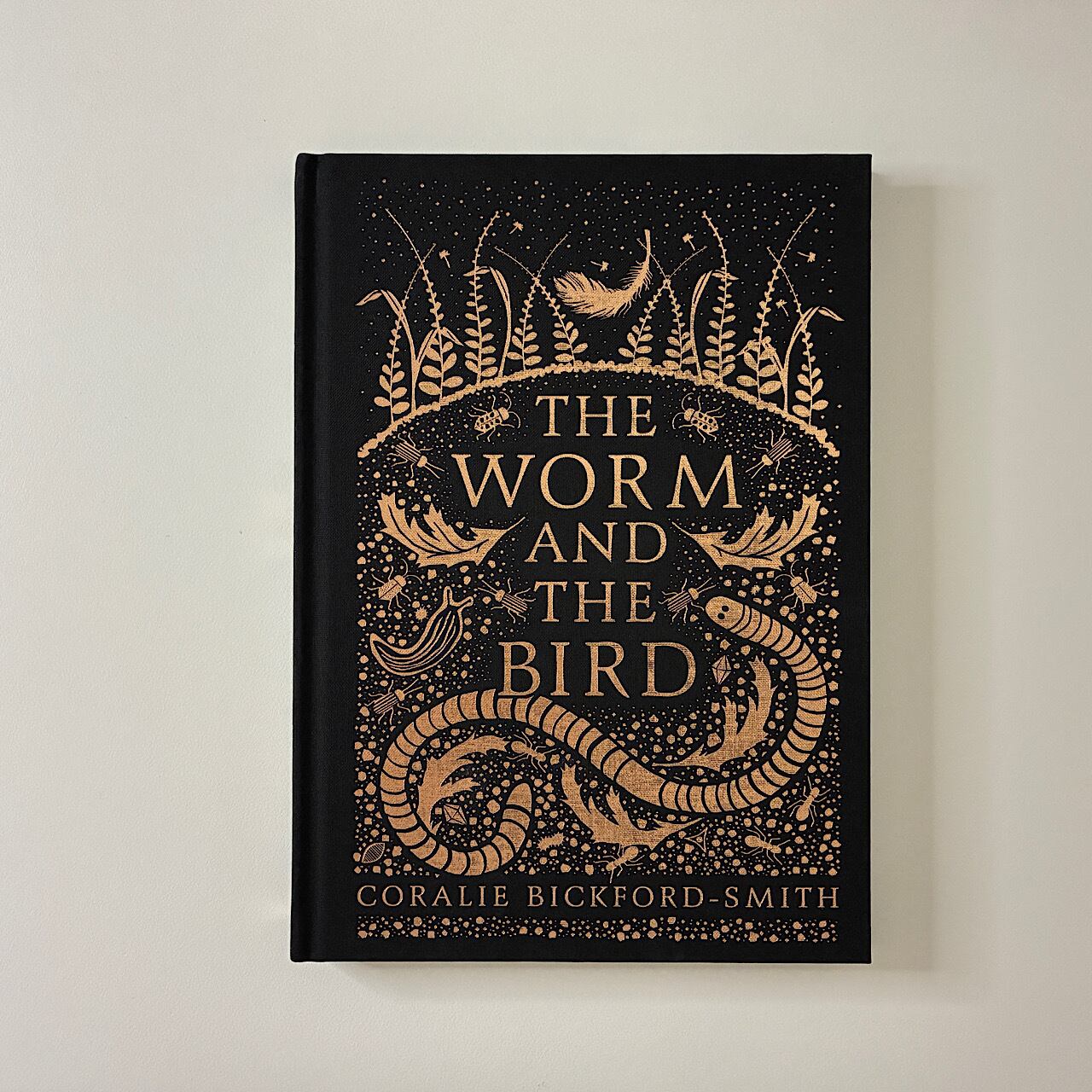 The Worm and the Bird | 素敵な洋書の絵本のお店 Read Leaf Books