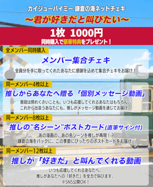 追加販売 3枚セット【カイジューバイミー】鎌倉の海ネットチェキ〜君が好きだと叫びたい〜