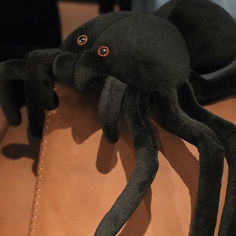 クモの大きなぬいぐるみ スパイダー 蜘蛛 黒 ブラック 抱き枕