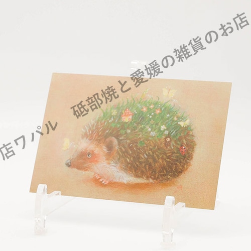 ポストカード おしゃれ かわいい 「しばねずみ」 ハガキ デブ猫ちゃん 絵本作家 かのうかりん 加納果林 karin-post-011