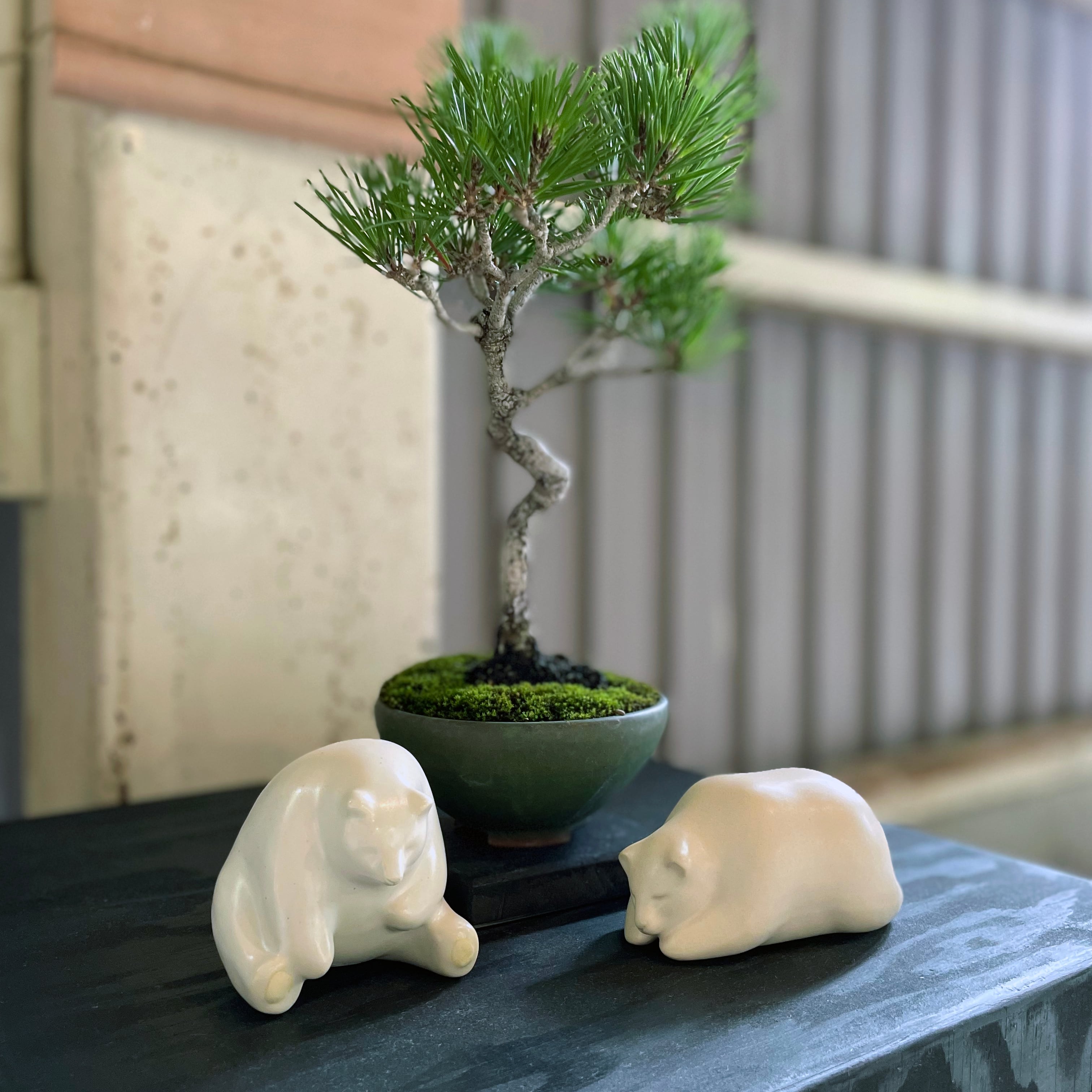 ダークフォレストのクマと白ヤギセット たけのこ TAKENOKO ぬいぐるみ 森のなかま (S) クマ 白 18793