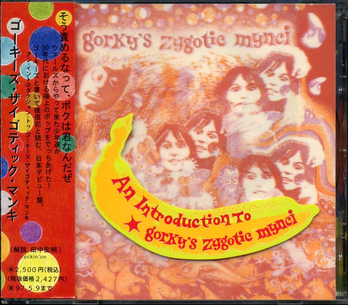 Flying Pupa - Can It | Pay ID