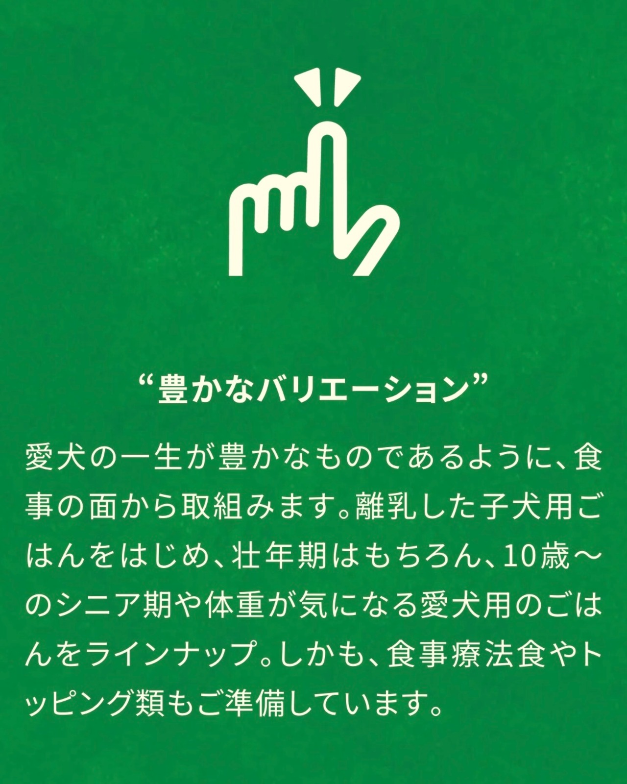 【正規品/お得セット】yumyumyumドライフード