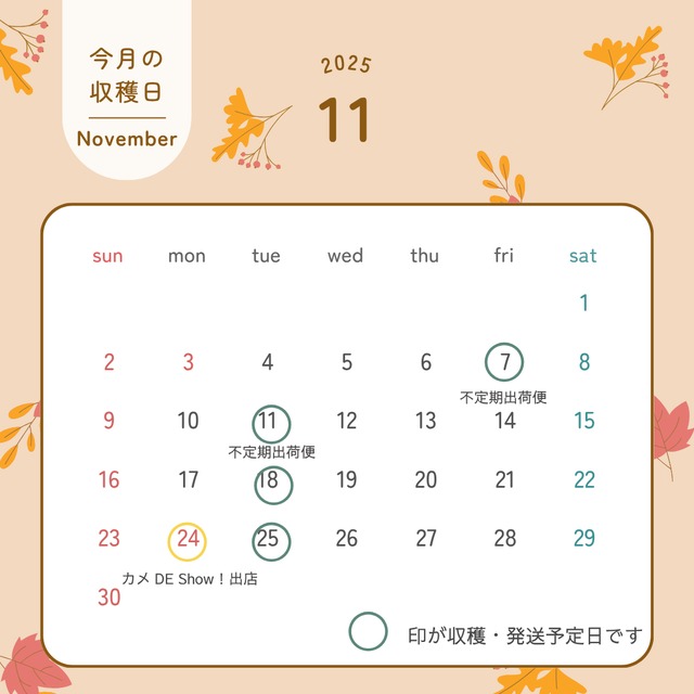 （参考）収穫/ 発送予定のカレンダー