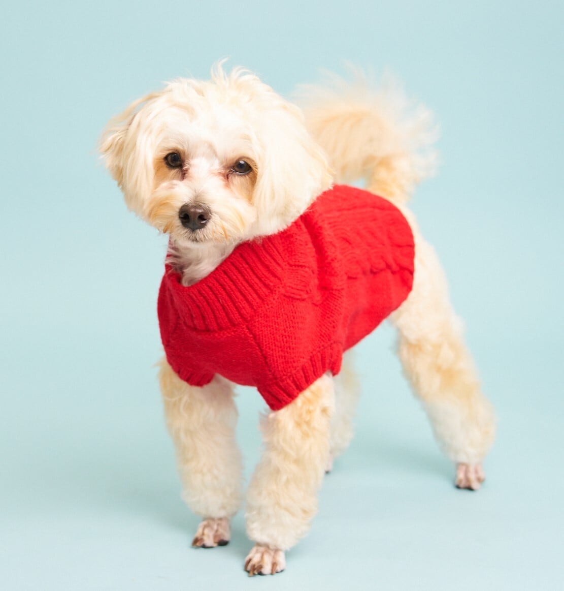 HIGH NECK CABLE KNIT-RED | HYGGELE