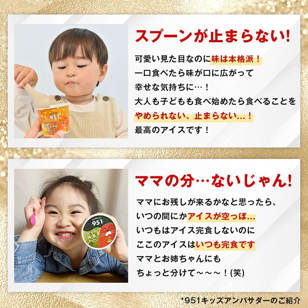 24個セット】951アイスクリーム 12種×各2個セット 全員集合24アソート