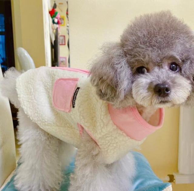 《予約》№1101914 モコモコチャックボアベスト