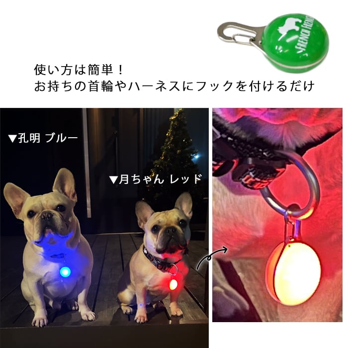 犬 首輪 ライト キーホルダー オレンジ LED セーフティライト 安全 散歩