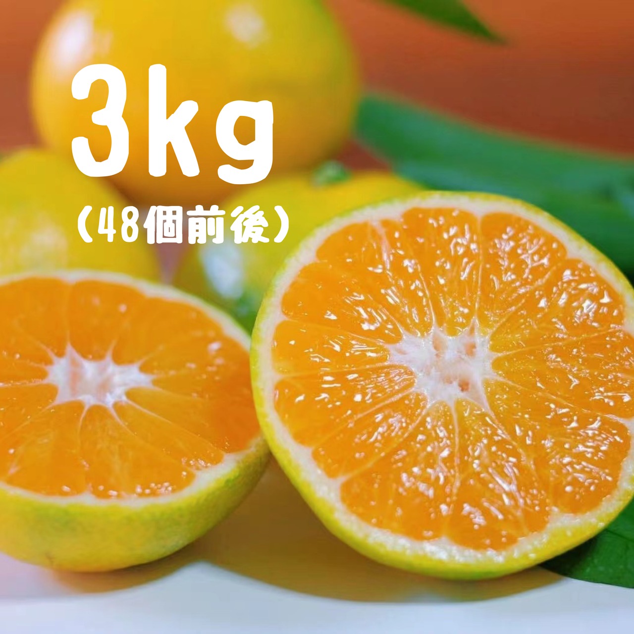 極早生みかん　3キロ