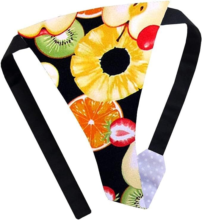 こだわり工房】ふんどし ショーツ ふんどしパンツ 女性用 レディース T