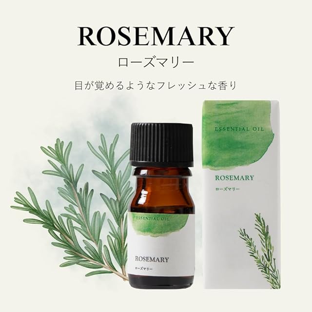 生活の木 生活の木のはじめてみた。アロマストーンセット アロマ