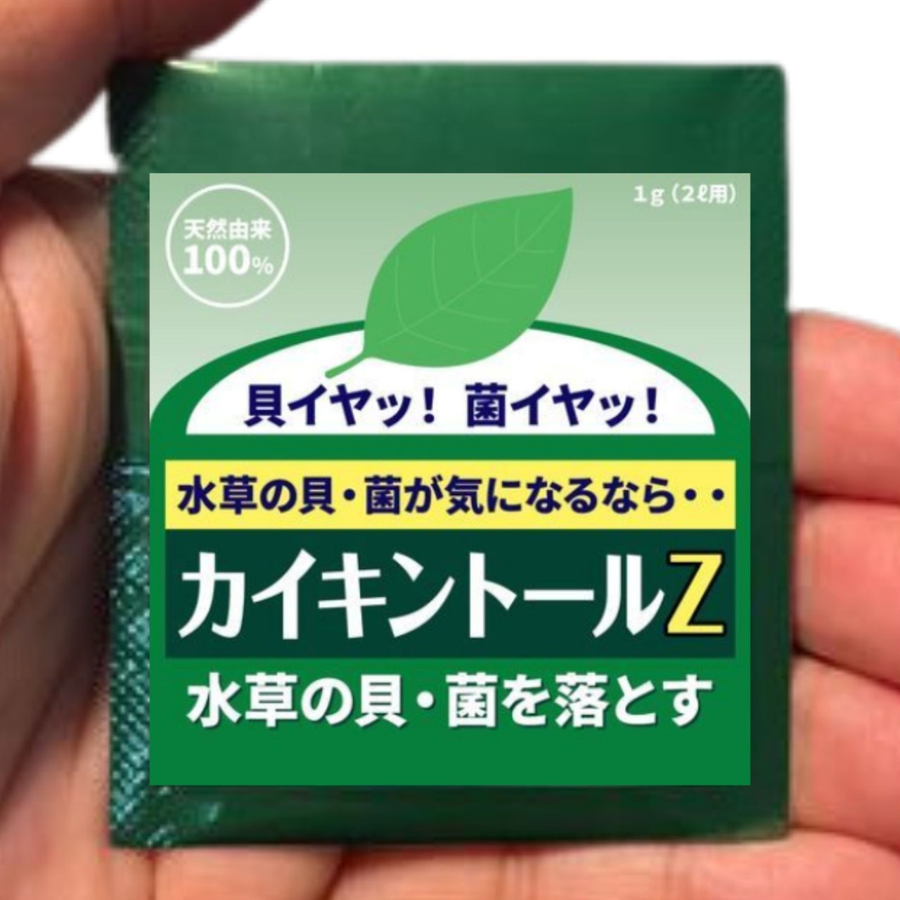 カイキントールＺ【10個セット】