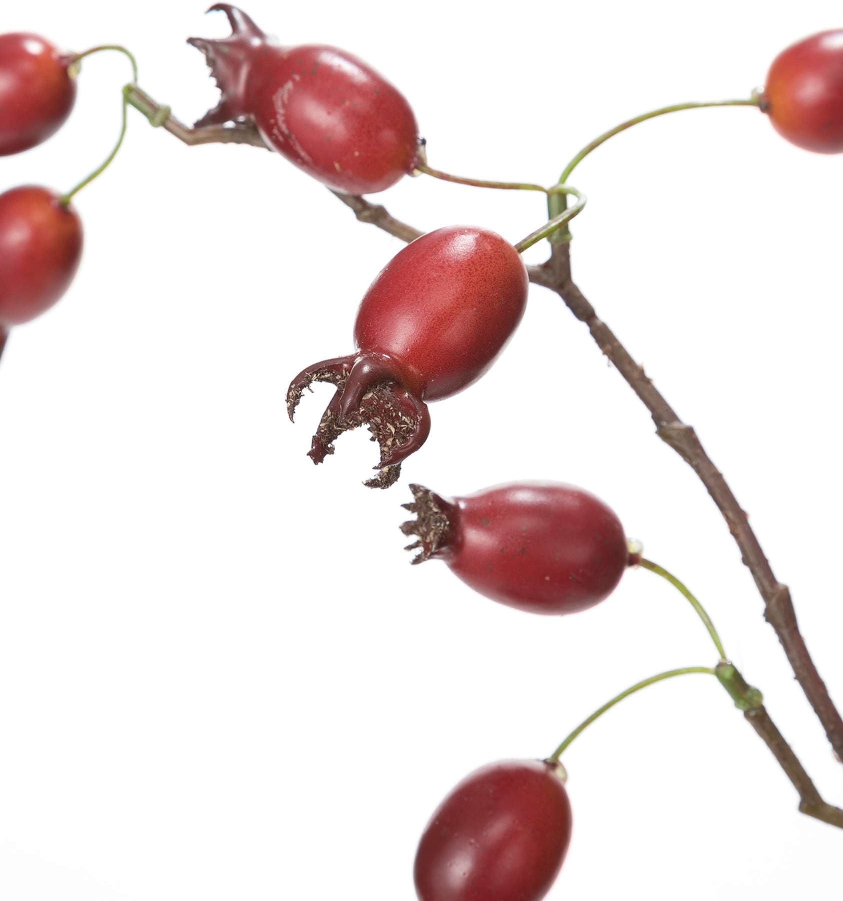 ローズヒップスプレー　　FG-5026R　4961823796043　造花（アーティフィシャルフラワー） > 定番造花グリーン（素材）