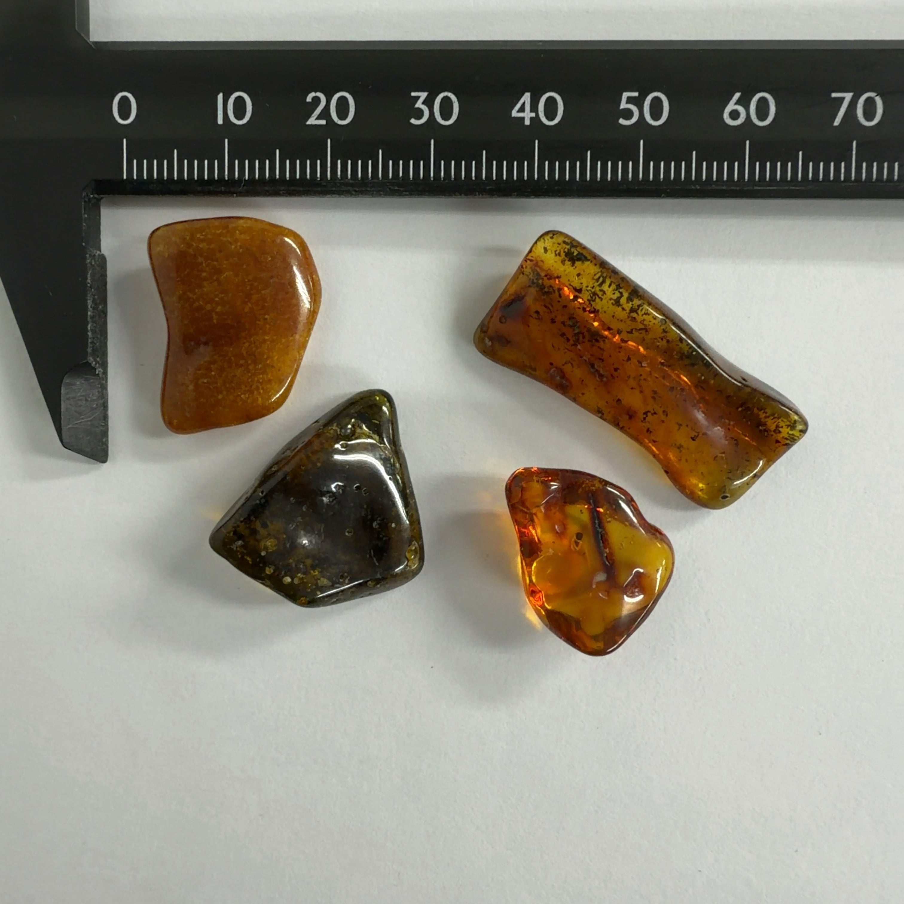 化石]琥珀・アンバー | クリスタル・ワールド御徒町店