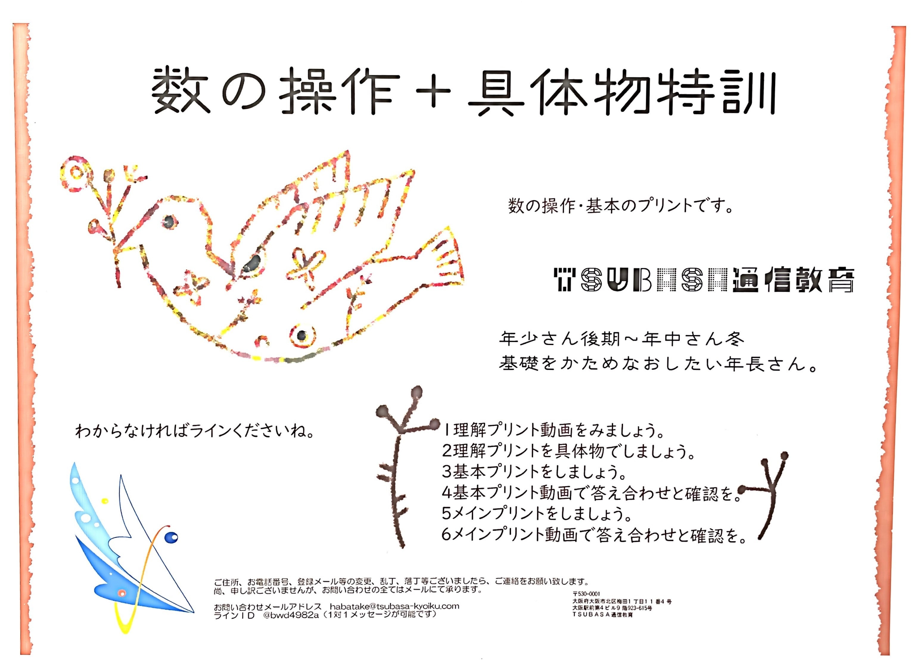 実践・選抜問題集 | TSUBASA通信教育ネットショップ