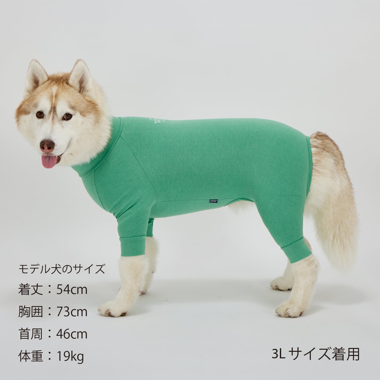 SKIN TIGHT SUIT（3L.4L.5L）スキンタイトスーツ | MANDARINE BROTHERS