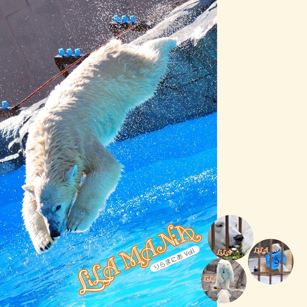 りらまにあ1】ポストカード 全30枚(全部セット) | 動物園写真家-ZOO