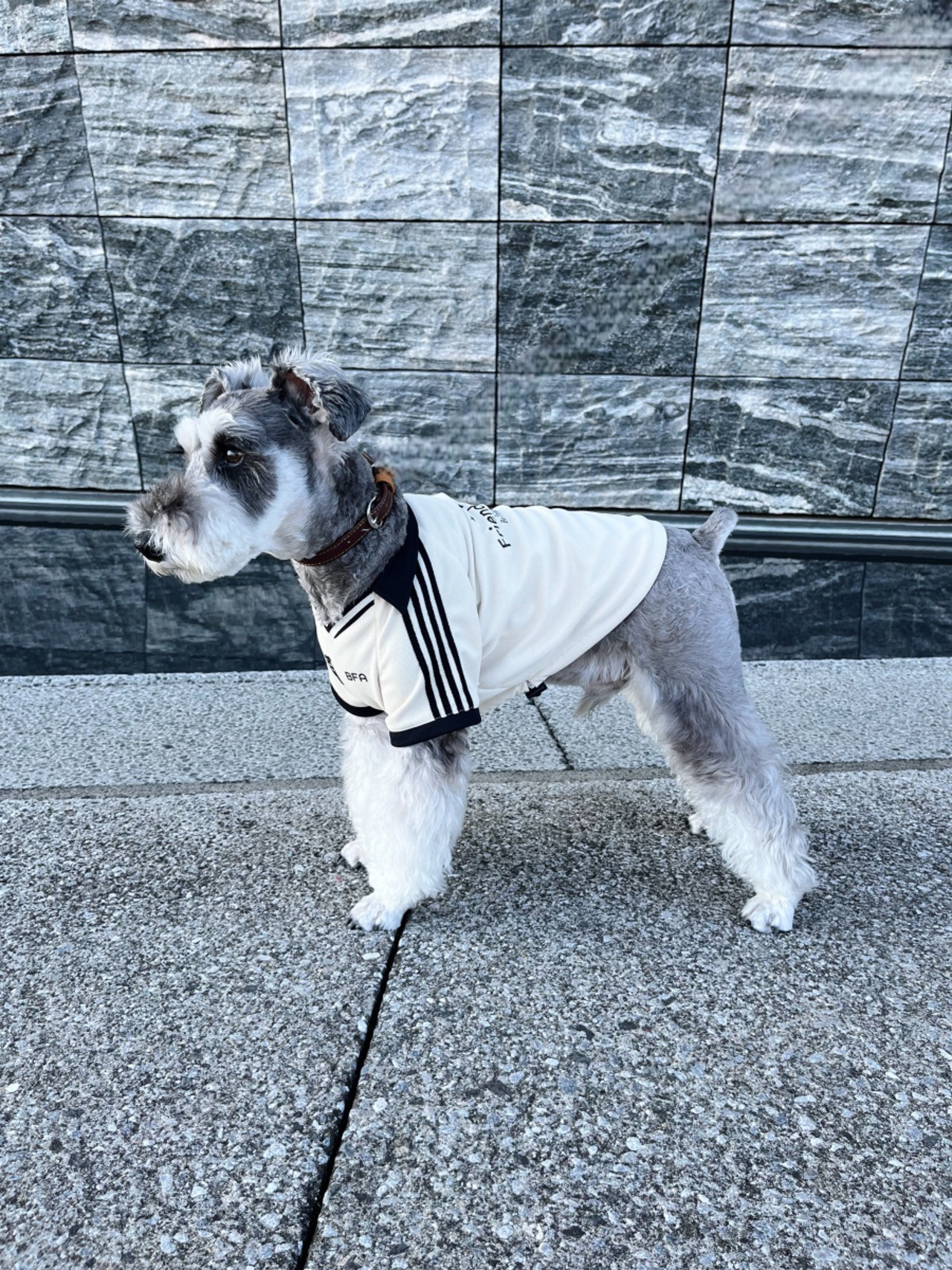 Friends United Uniform（Ivory）