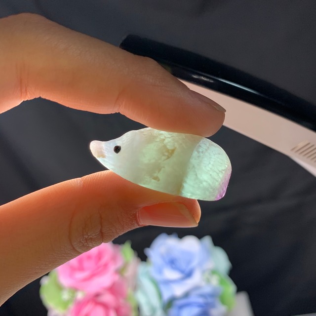 10ハリネズミフローライト