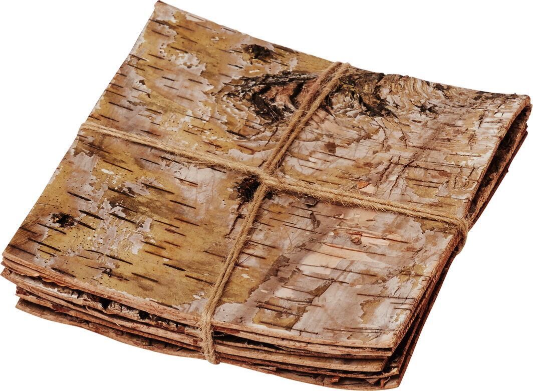 スクエアバーチスキン　６Ｐ　　MCY-0258　4961823766787　フラワーベース