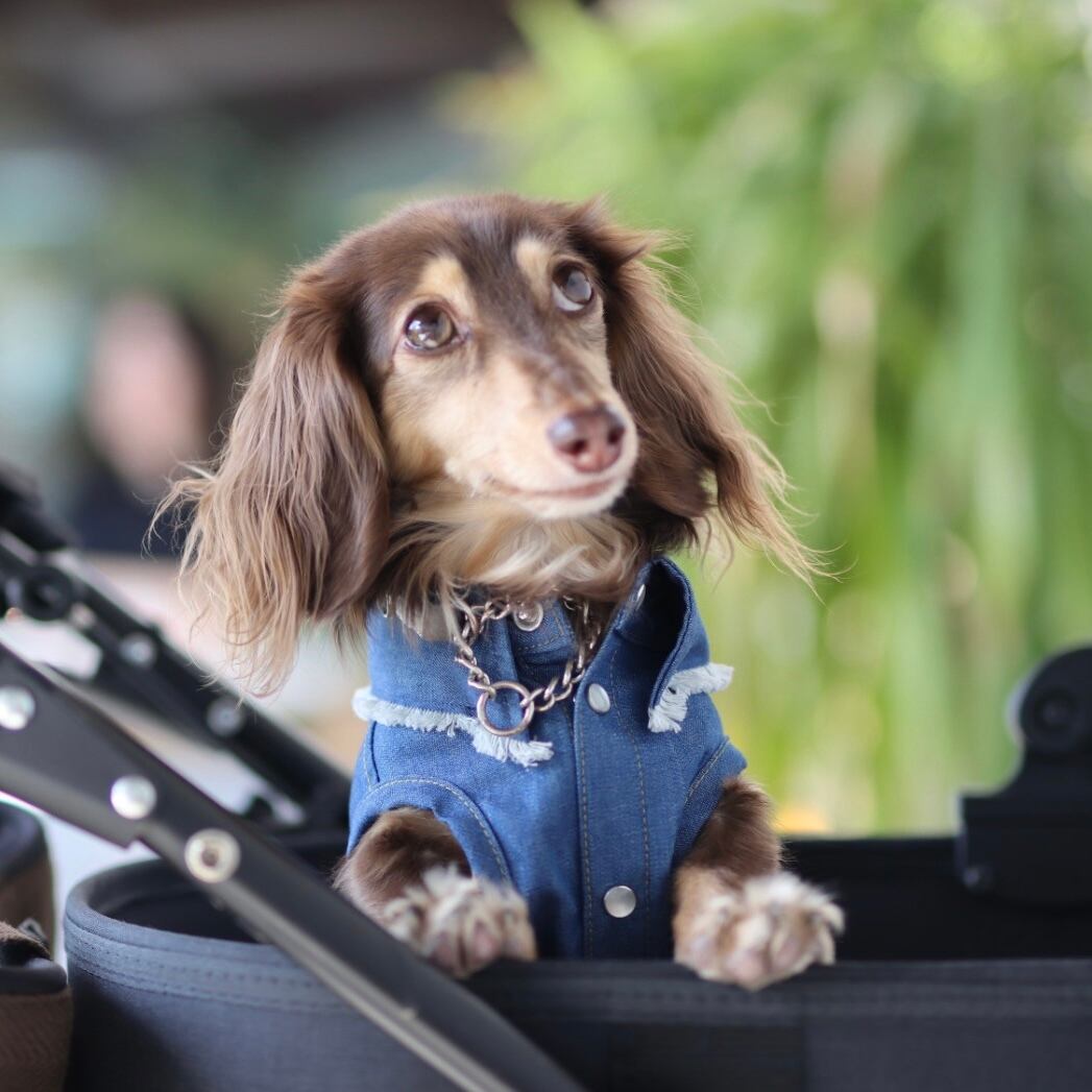 デニムシャツ(フリンジ)