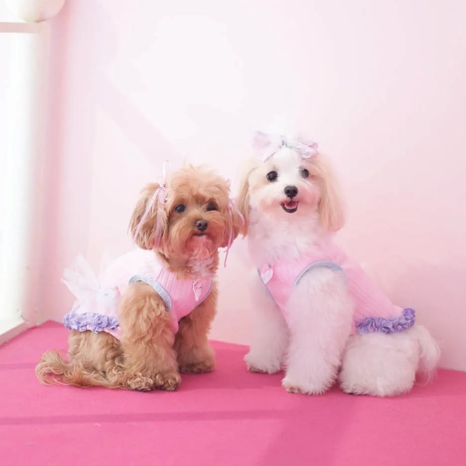 Pawtopia – Blooming Pet Top〈 1-3 ( S-2M ) 〉