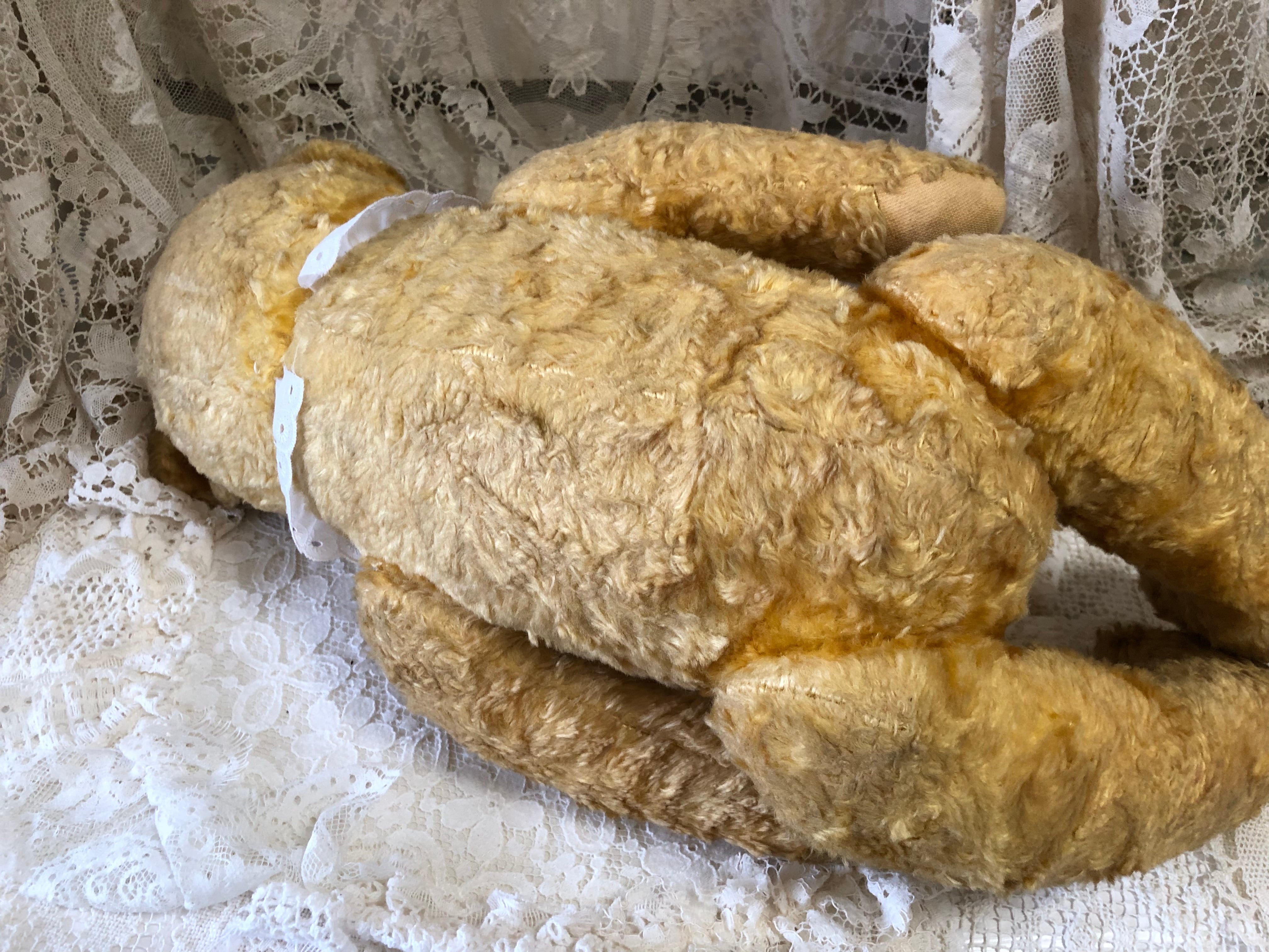 ドイツ アンティーク ベア おとぼけ顔のおっとりくん | le Verseau