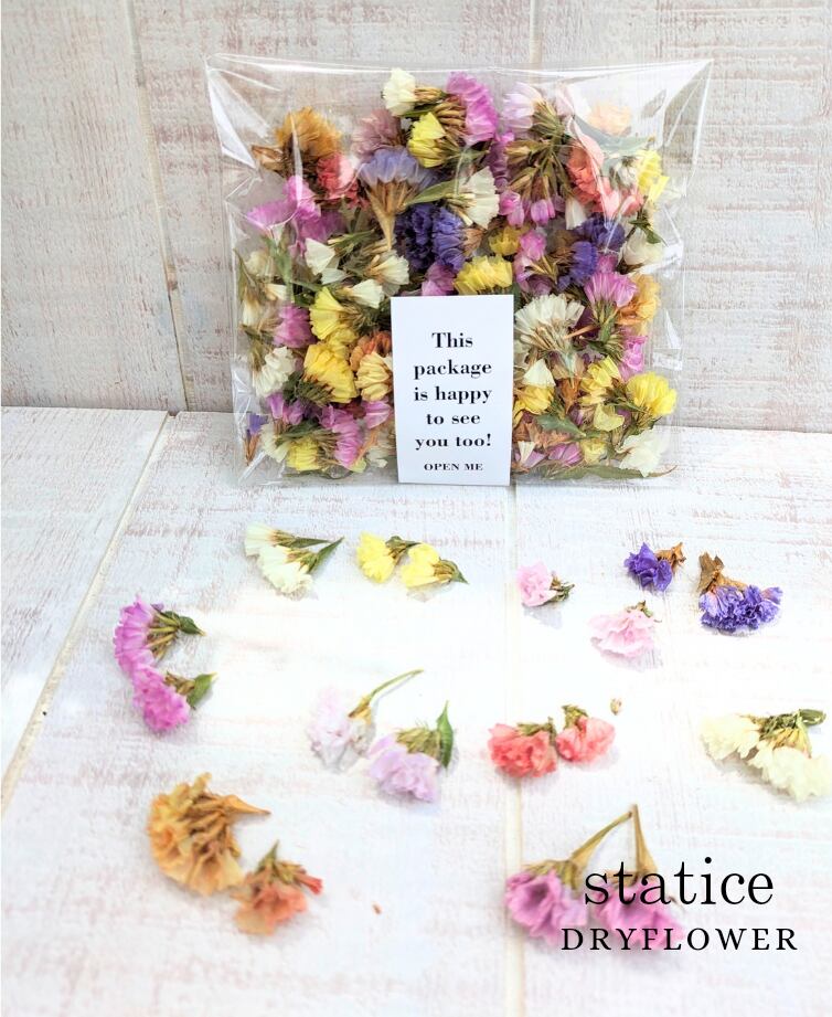 ニュアンスカラースターチスミックス スターチスドライフラワー110本