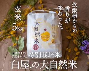大自然米【5kg】玄米