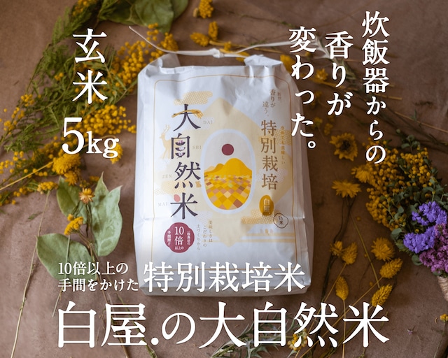 大自然米【5kg】玄米