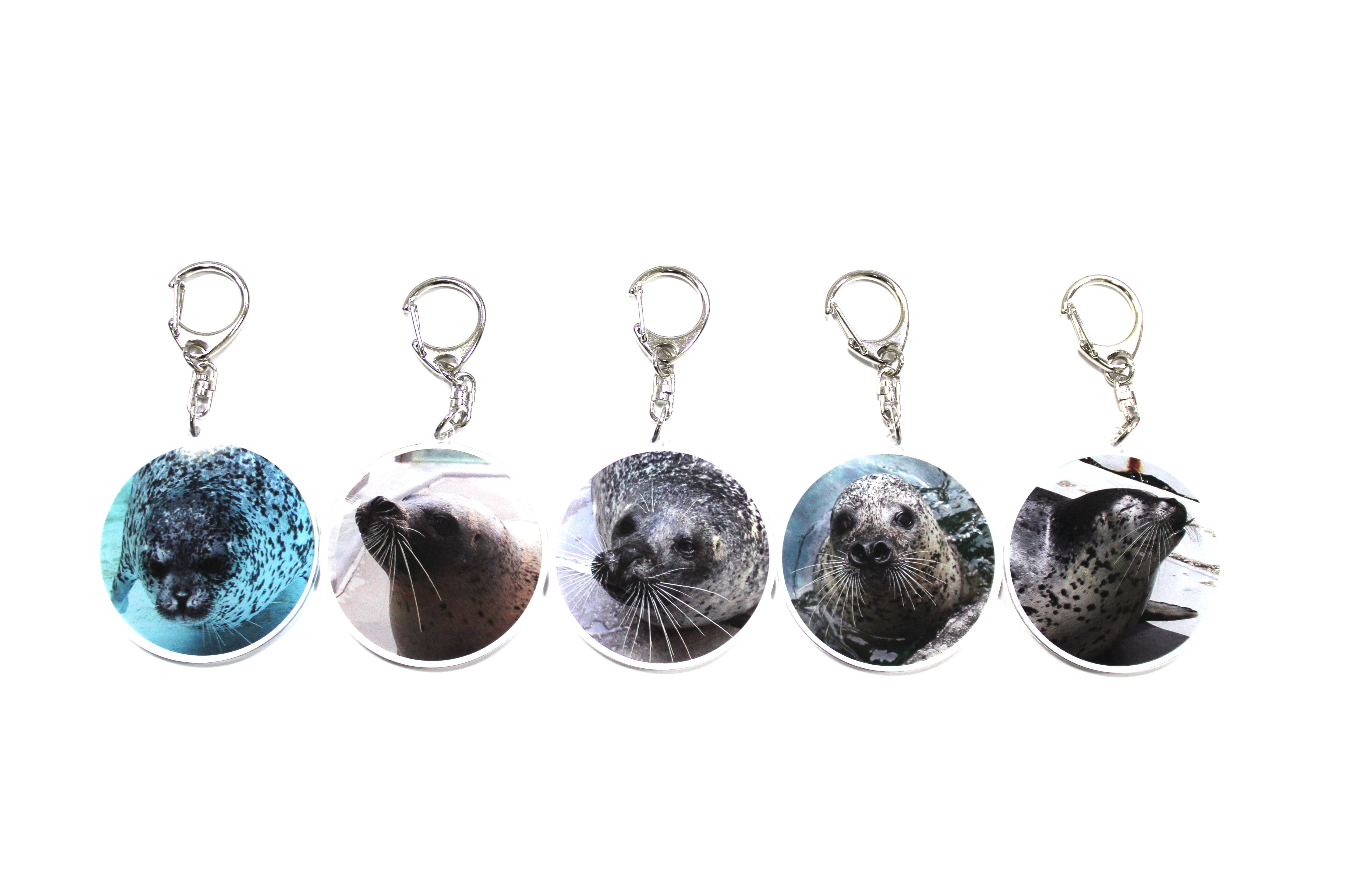 アクリルキーホルダー アザラシ各種 | 男鹿水族館GAO Online Shop