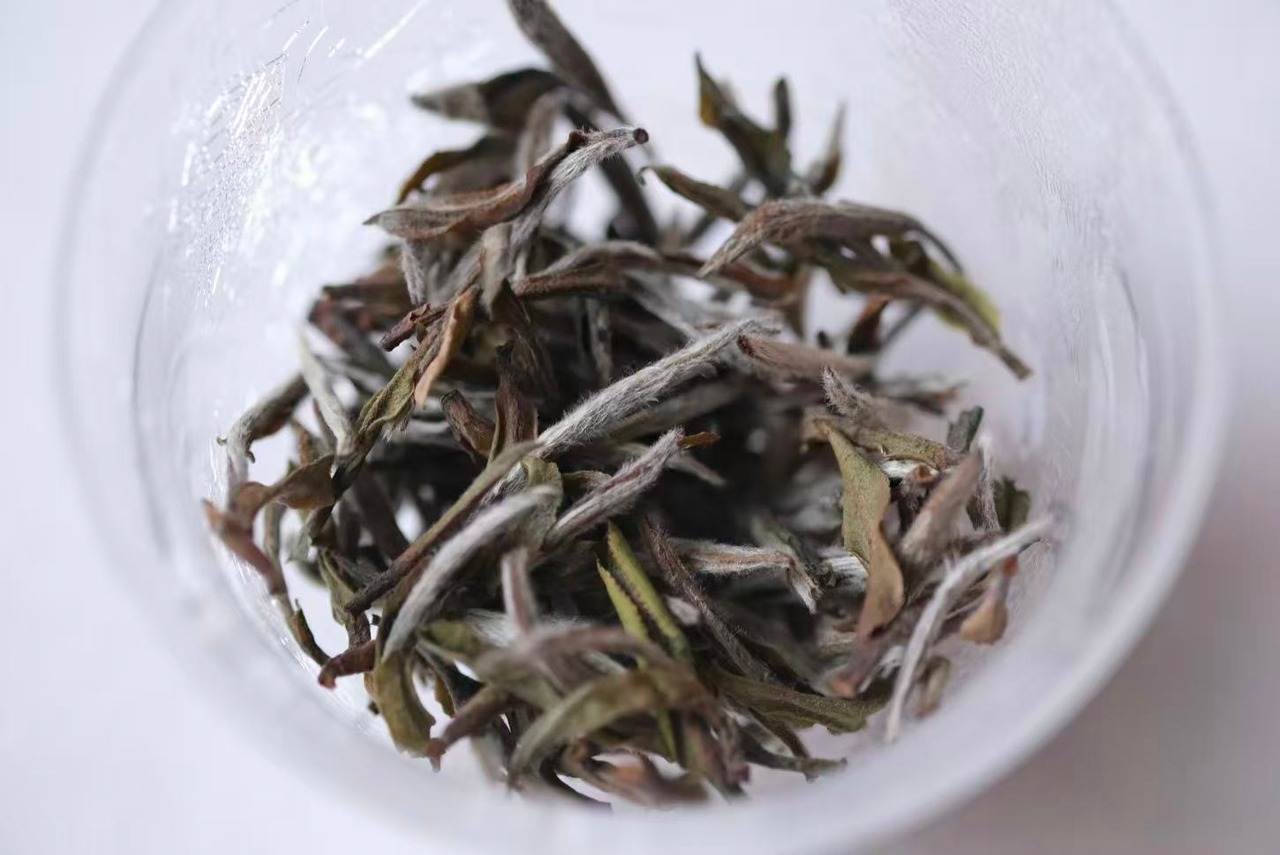 福鼎白茶 明前高級白牡丹 Fuding Premium White Peony 30g